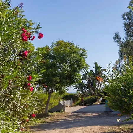 Sycamore Seaview * Αγία Νάπα