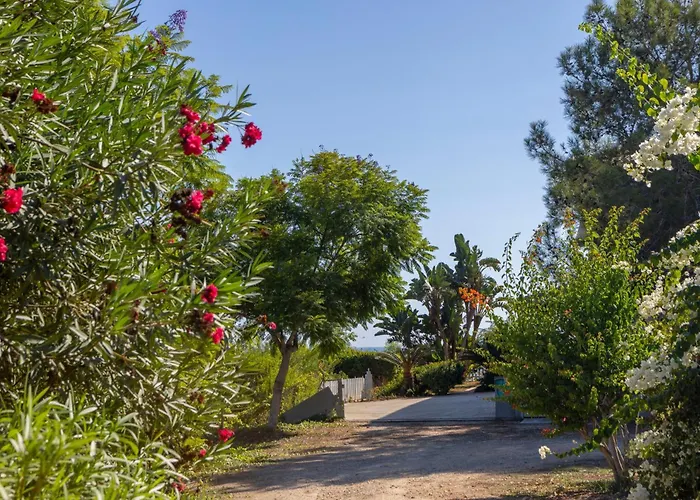 Sycamore Seaview * Ayia Napa