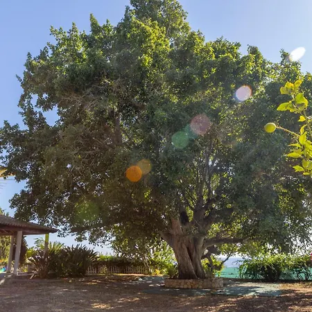 Sycamore Seaview * Aya Napa